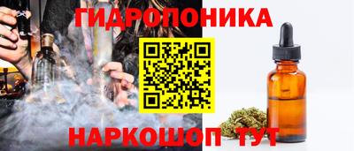 спиды Обь