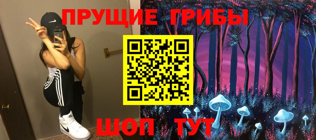 Саранск  Псилоцибиновые грибы GOLDEN TEACHER  Вход с VPN 