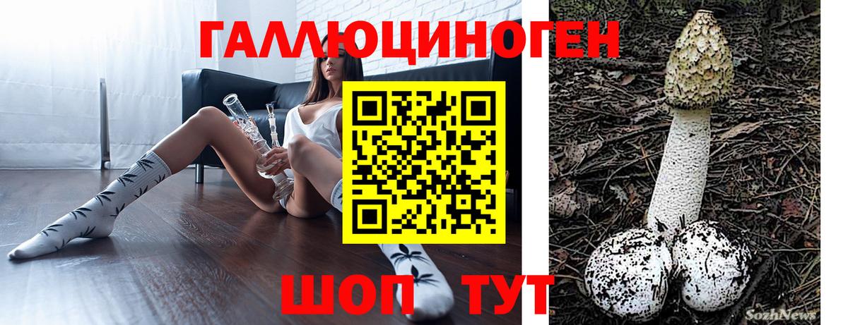 Псилоцибиновые грибы Cubensis Саранск
